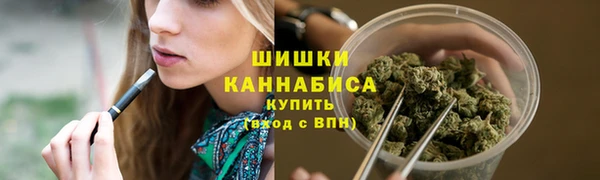 стафф Новокубанск