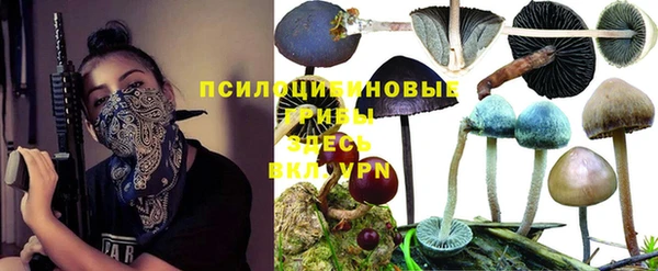 тгк Нягань