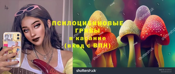 стафф Новокубанск