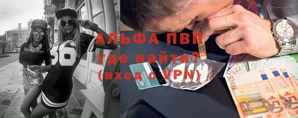 стафф Новокубанск