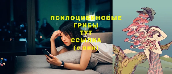 mdpv Няндома